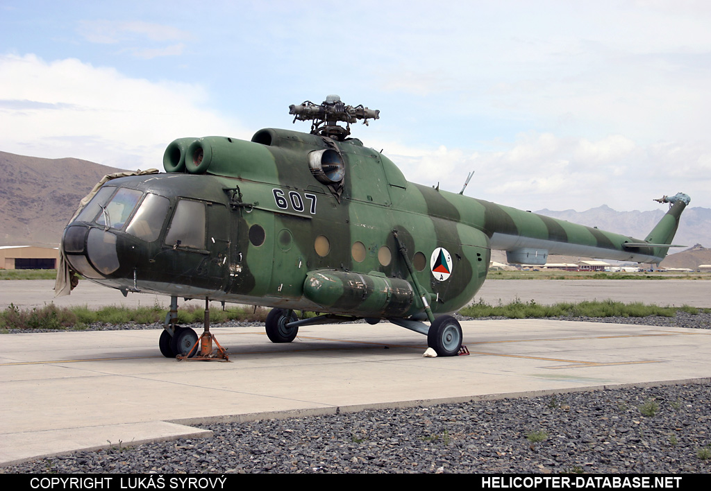Mi-8T   607