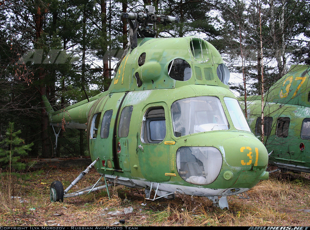 PZL Mi-2   31 yellow