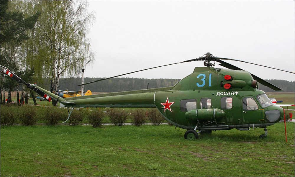 PZL Mi-2   31 blue