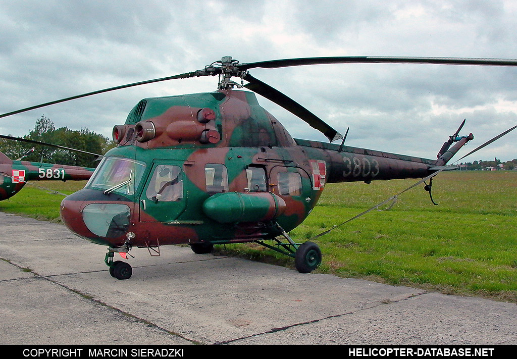 PZL Mi-2D   3803