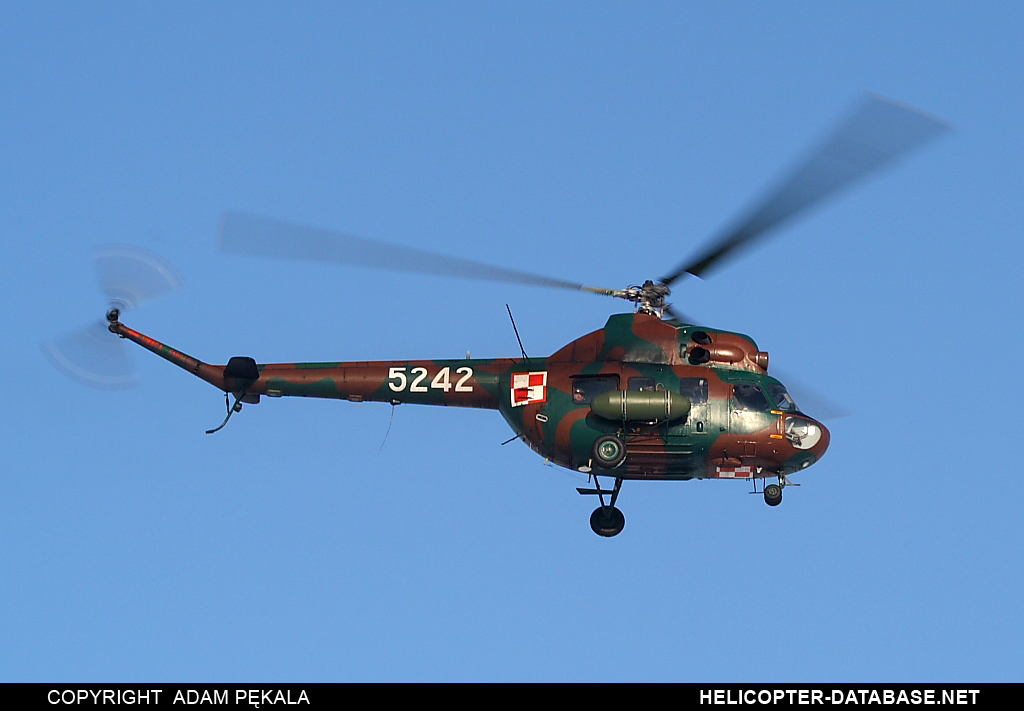 PZL Mi-2D   5242