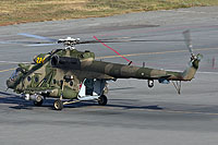 Photo&nbsp;ID:&nbsp;27231