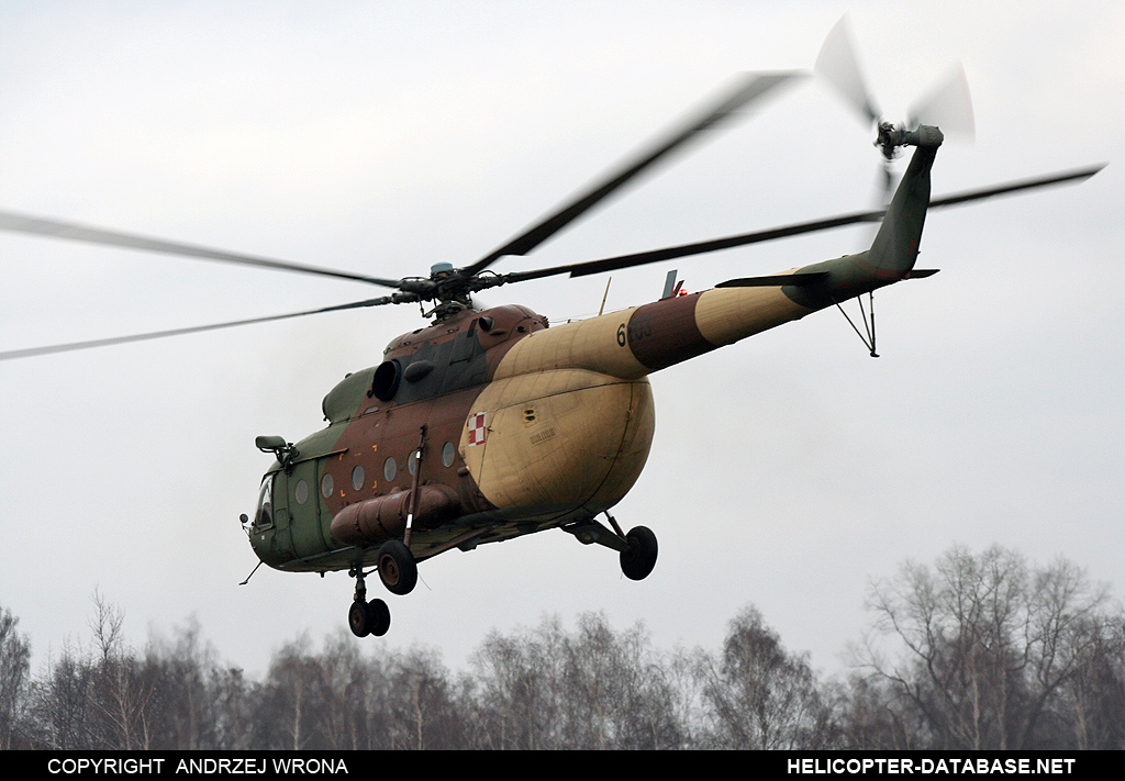 Mi-8MTV-1   6103