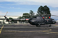 Photo&nbsp;ID:&nbsp;1104