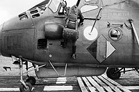 Photo&nbsp;ID:&nbsp;27295