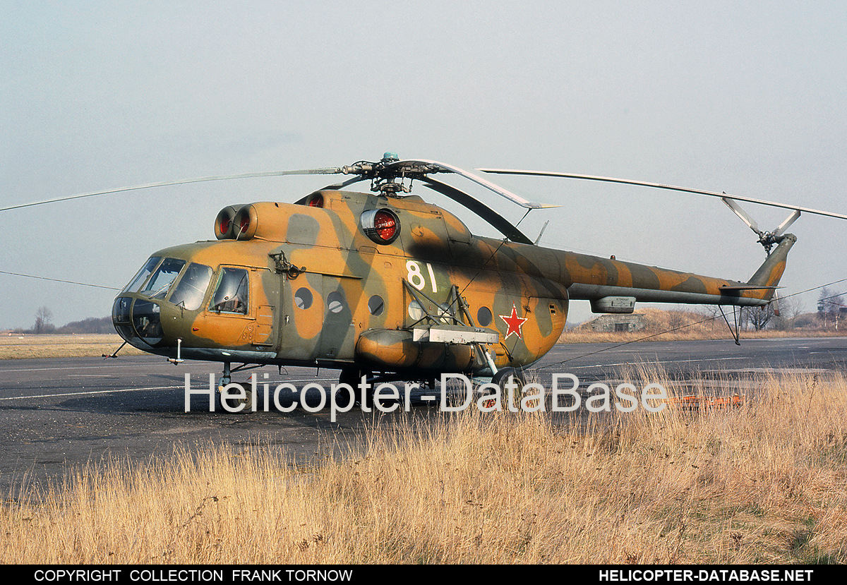 Mi-8T   81 white