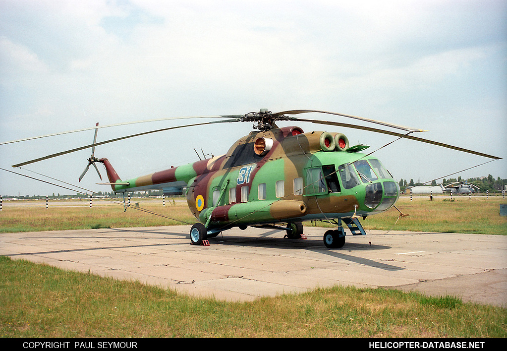 Mi-8PS   31 blue